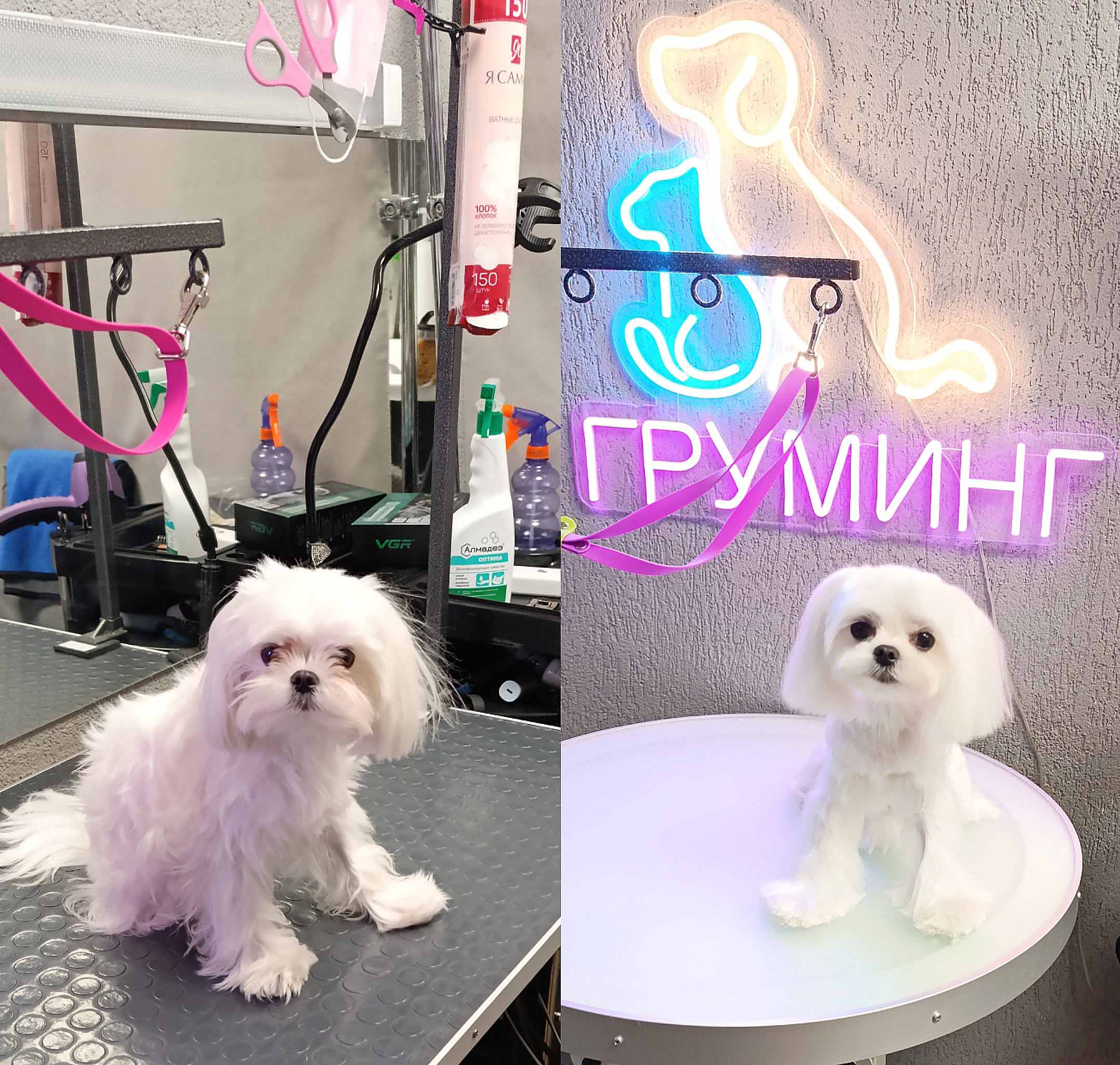 Груминг собаки